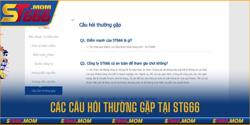 Các câu hỏi hay gặp phải về thương hiệu