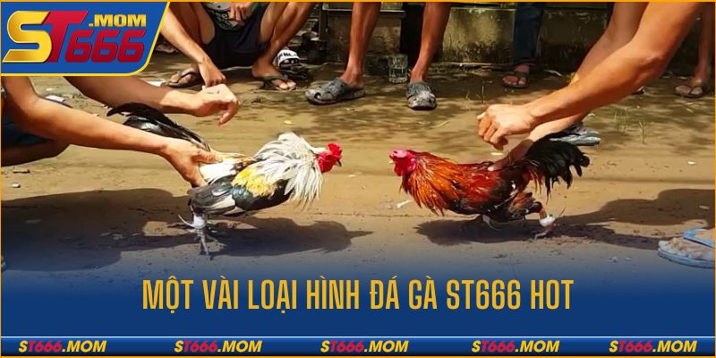Đá gà cựa sắt - ra đòn cực hiểm và hạ gục đối thủ nhanh chóng 