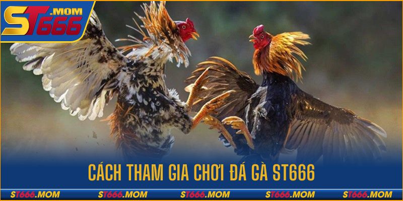 Thao tác tham gia săn thưởng tại ST666 căn bản cho tân binh