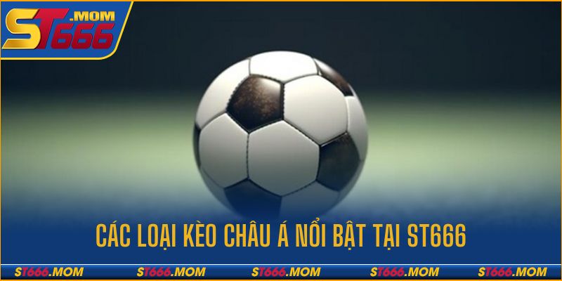 Các loại kèo cược châu Á nổi bật nhất tại ST666